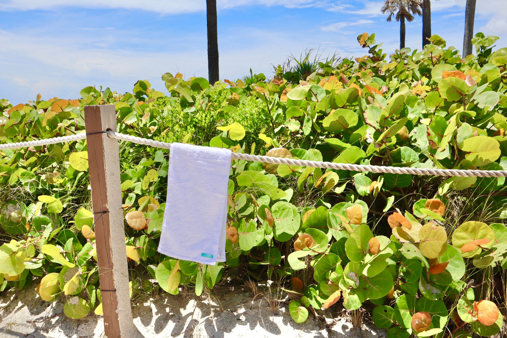 Active Eco-Towel